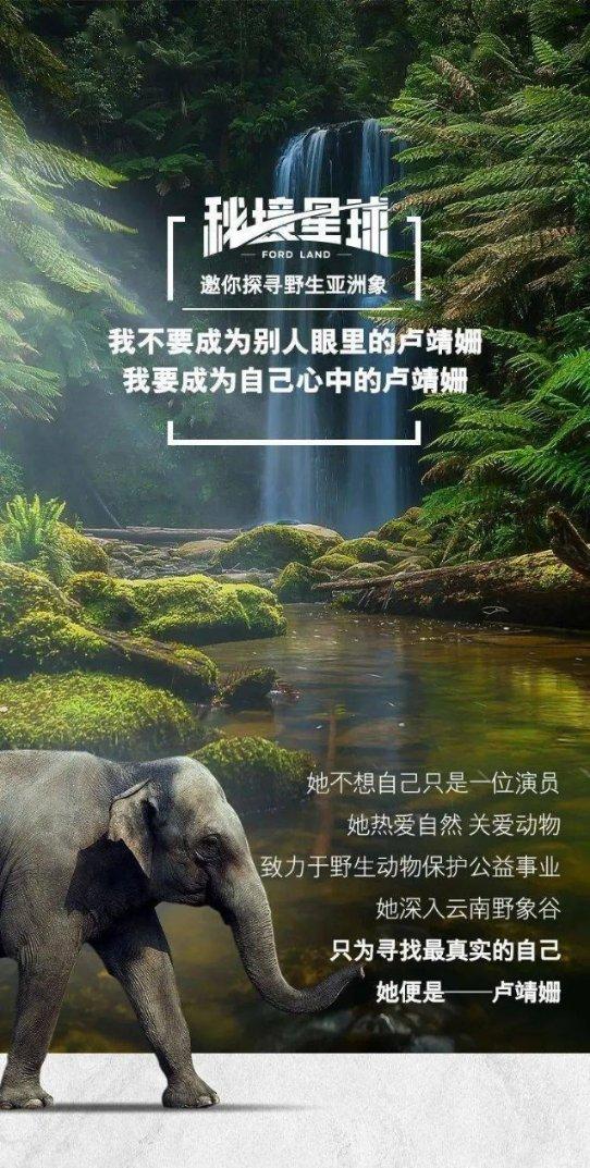 向上跳的香蕉