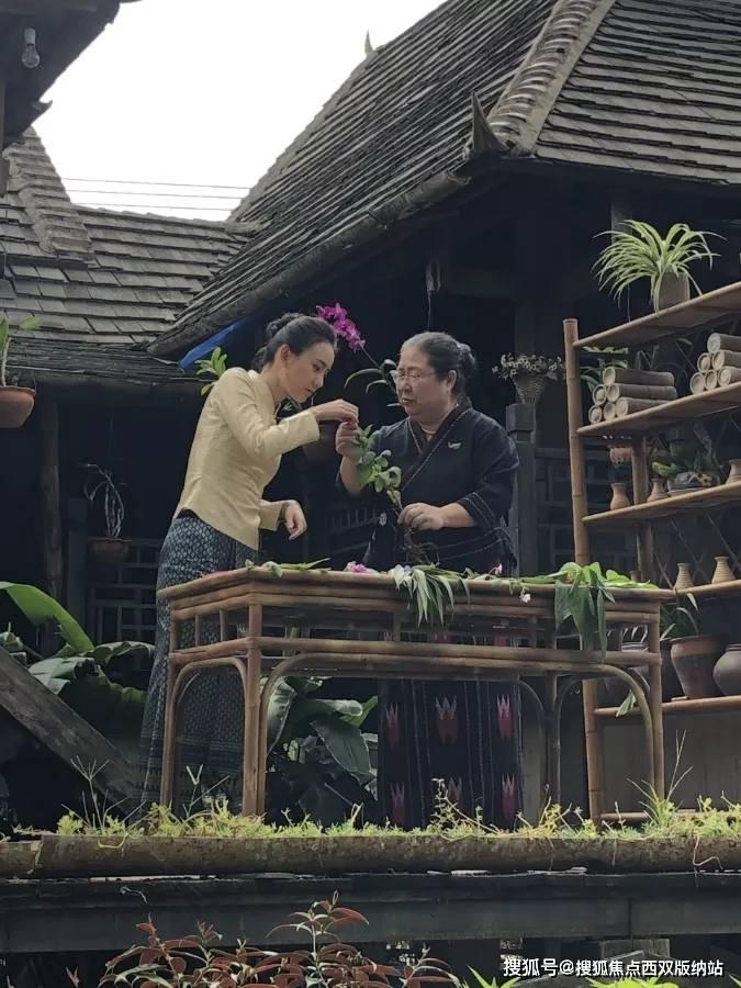 首批自制短剧年内发布，知乎“短故事”加速影视化